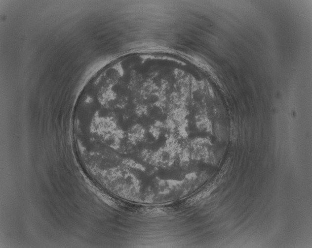 X0000067901231200605041609