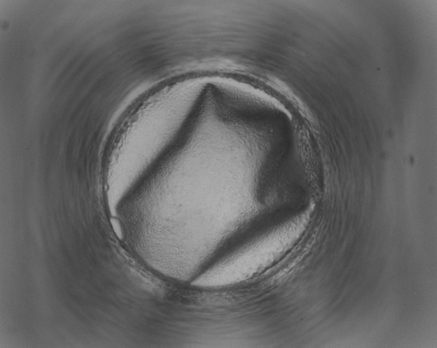 X0000067901232200605041609