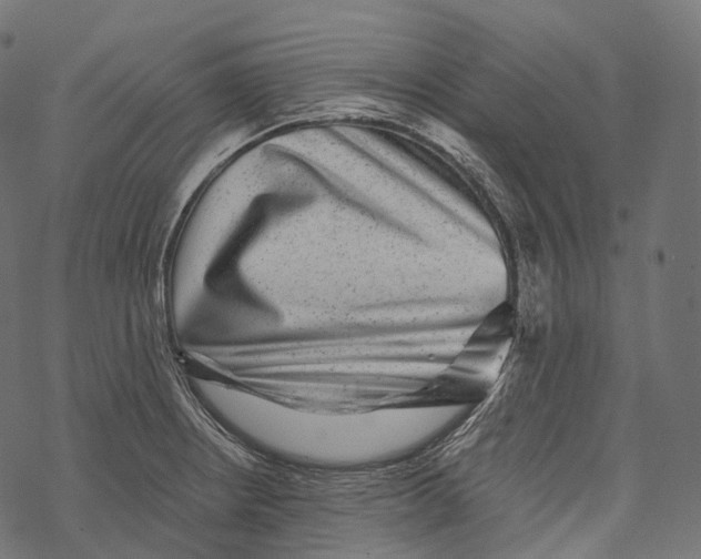 X0000067901234200605041609