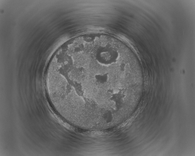 X0000067901235200605041609