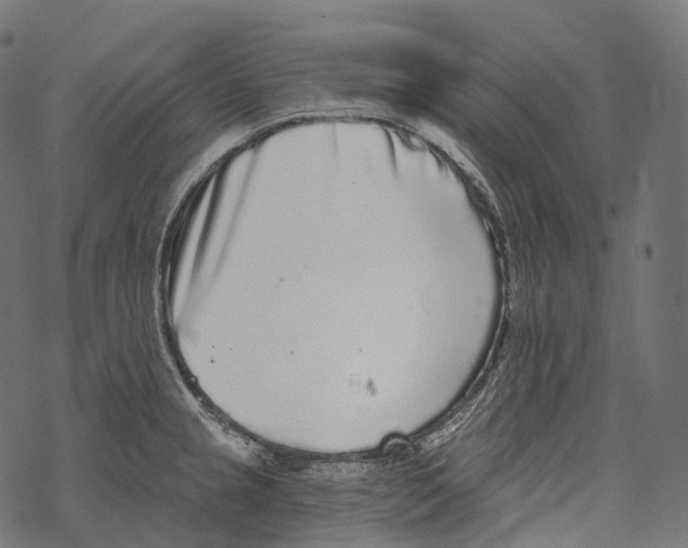 X0000067901237200605041609