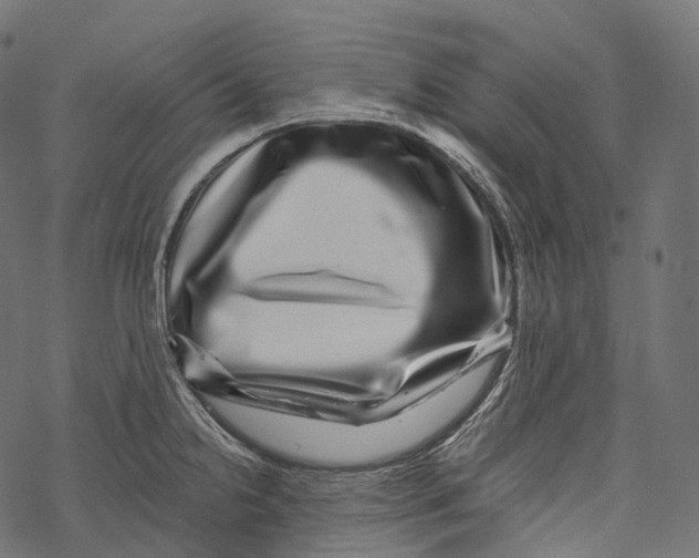 X0000067901238200605041609