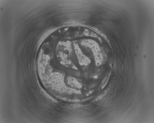 X0000067901239200605041609