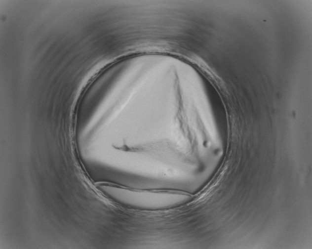 X0000067901240200605041609