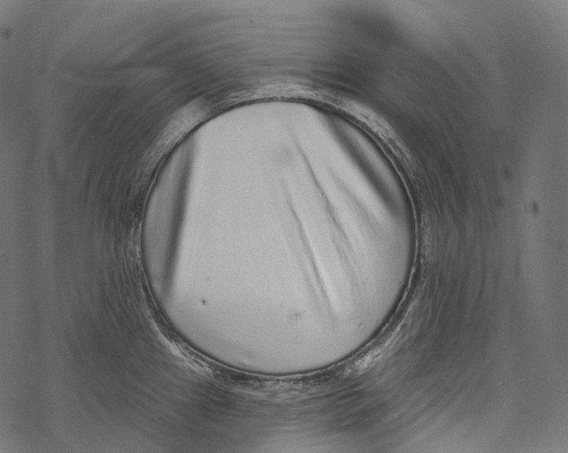 X0000067901241200605041610