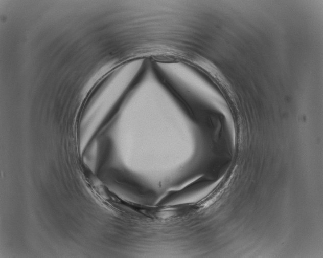 X0000067901242200605041610