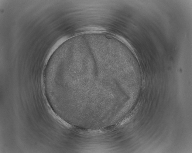 X0000067901243200605041610