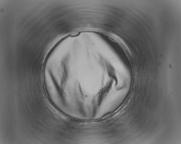 X0000067901244200605041610