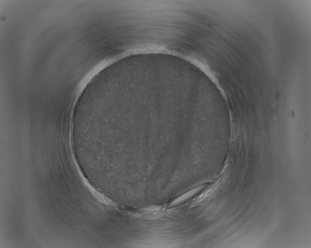 X0000067901245200605041610