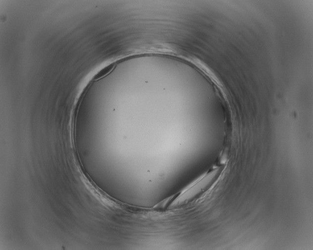 X0000067901246200605041610