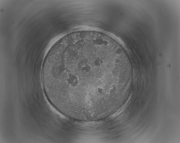 X0000067901247200605041610