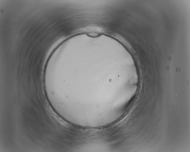 X0000067901248200605041610