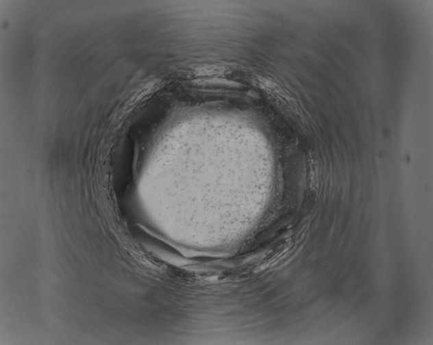 X0000067901249200605041609