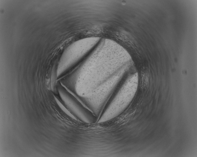 X0000067901250200605041609