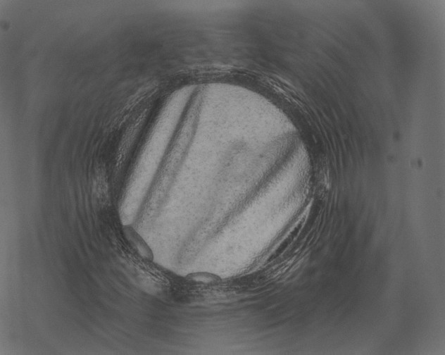 X0000067901252200605041609