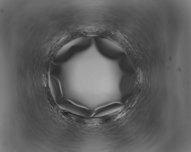 X0000067901253200605041609