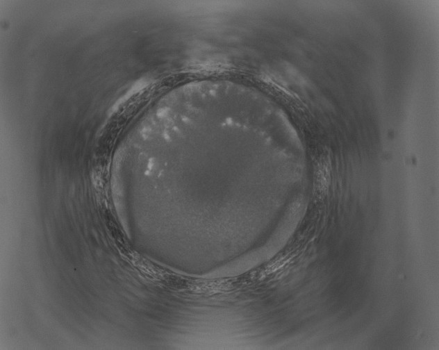 X0000067901254200605041609