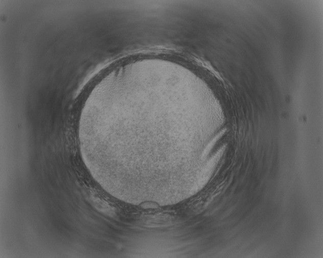 X0000067901256200605041609