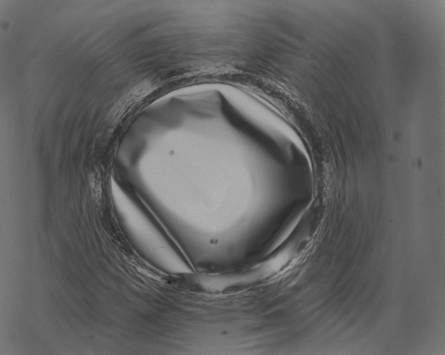 X0000067901257200605041609