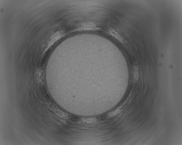 X0000067901258200605041609