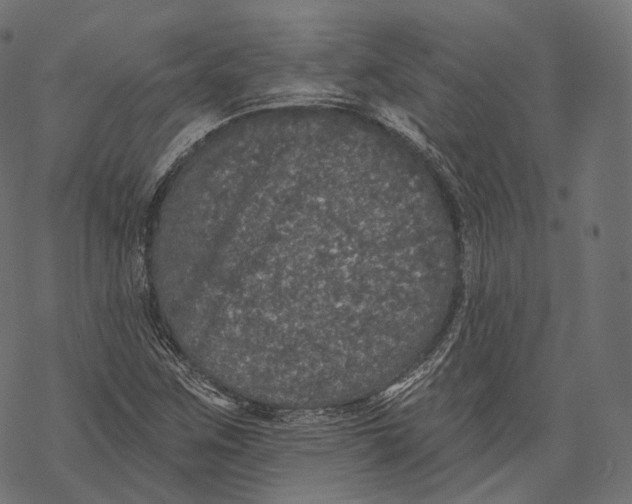 X0000067901259200605041609