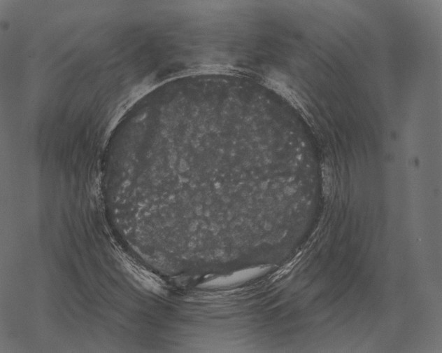 X0000067901260200605041609