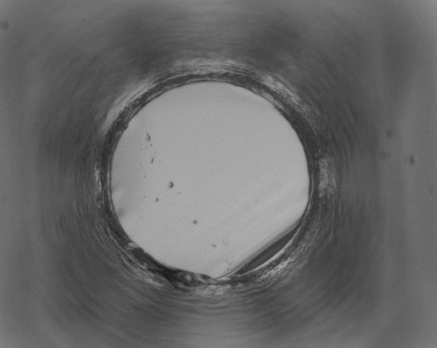 X0000067901261200605041609