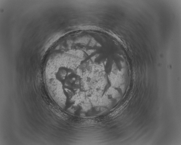 X0000067901263200605041609