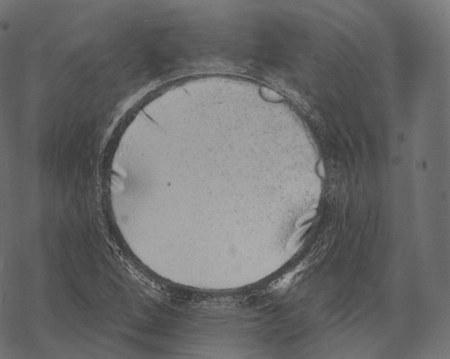 X0000067901264200605041609