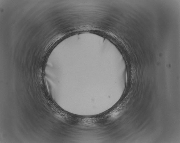 X0000067901265200605041609