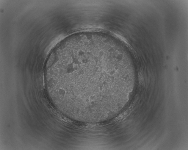 X0000067901267200605041609