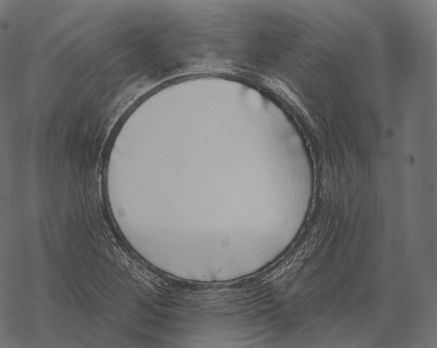 X0000067901268200605041609