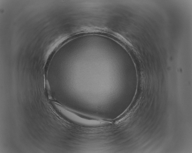 X0000067901269200605041609