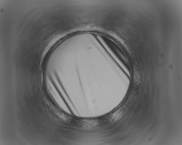 X0000067901270200605041608