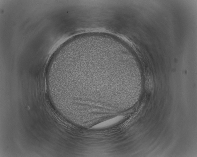 X0000067901271200605041608