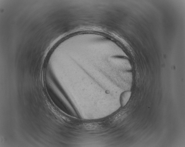 X0000067901272200605041608