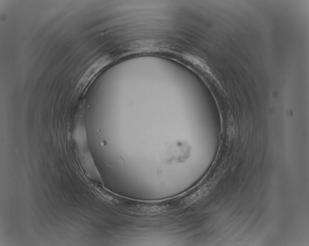 X0000067901273200605041608