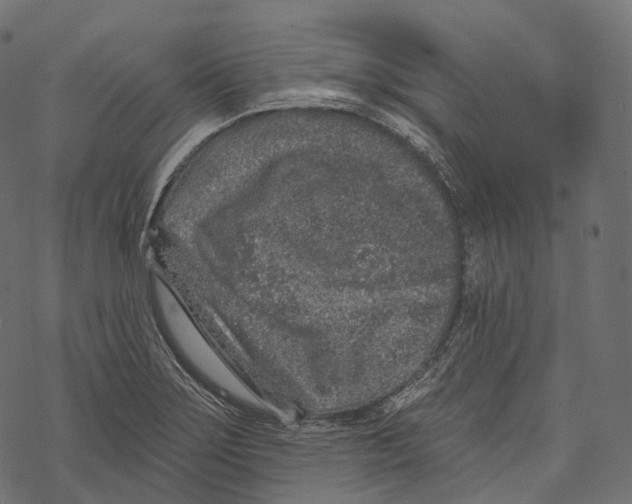 X0000067901275200605041608