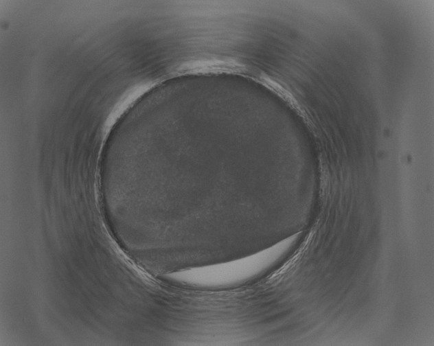 X0000067901277200605041608