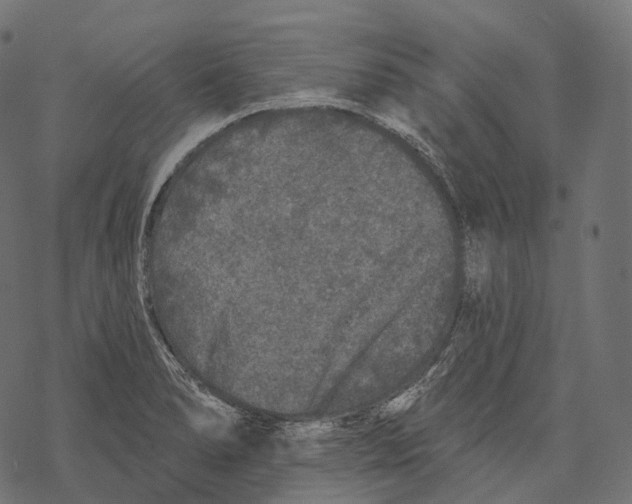 X0000067901278200605041608