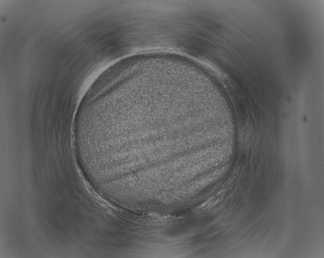 X0000067901279200605041608