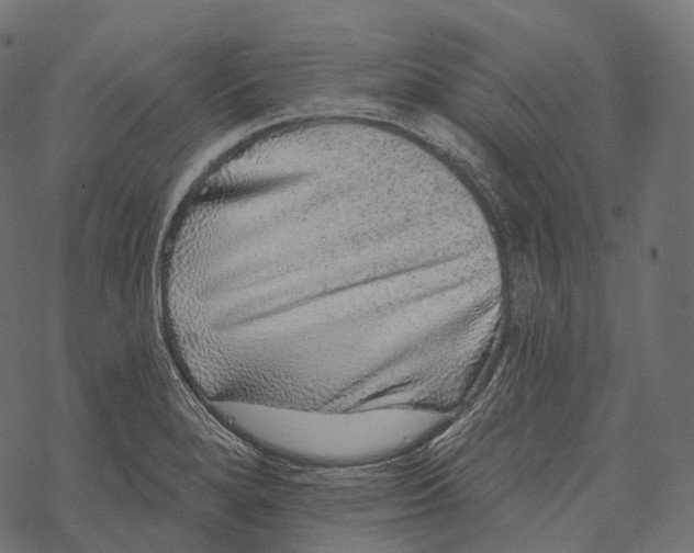 X0000067901280200605041608