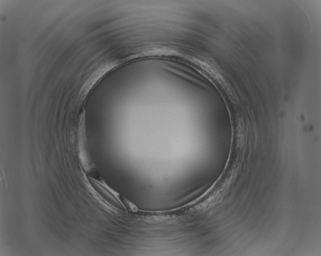 X0000067901281200605041608