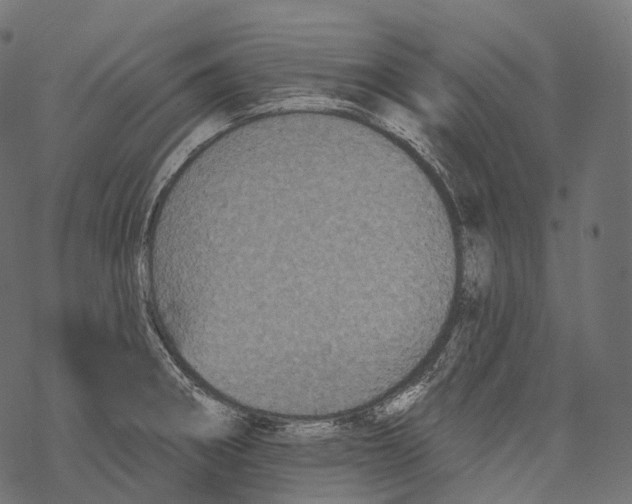 X0000067901282200605041608