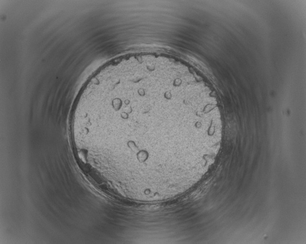 X0000067901283200605041608