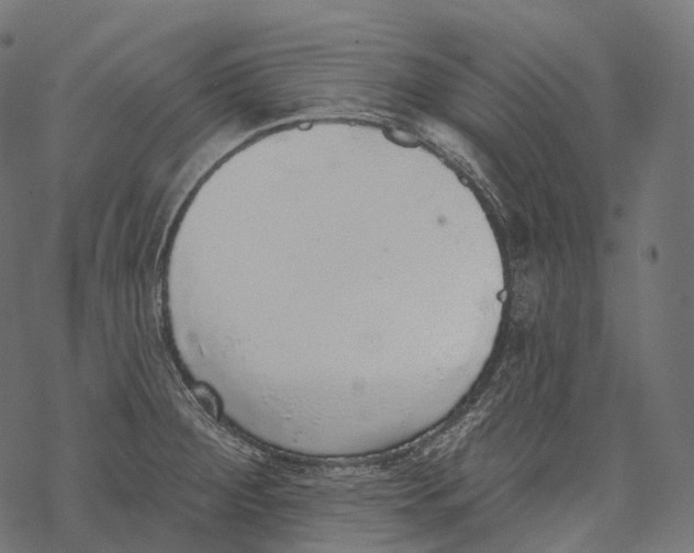 X0000067901284200605041608