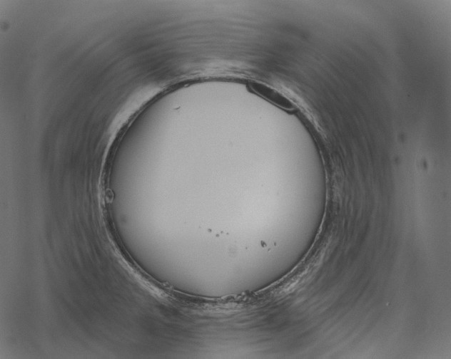 X0000067901285200605041608