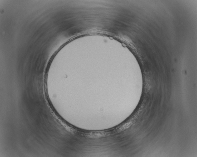 X0000067901286200605041608