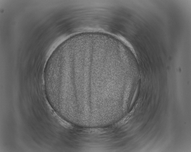 X0000067901287200605041608