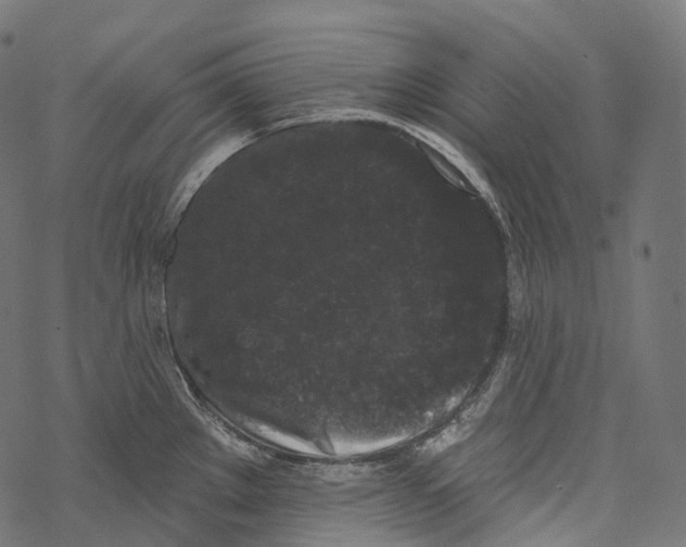 X0000067901289200605041608